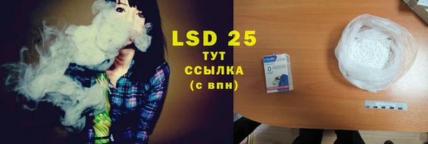 ПСИЛОЦИБИНОВЫЕ ГРИБЫ Волосово